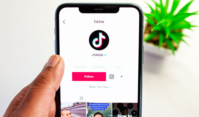 How to See TikTok Private Account Videos Without Following