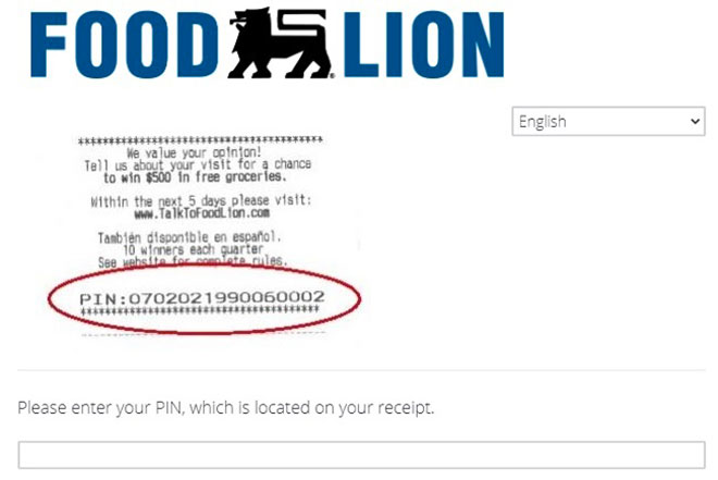 www.foodlion.com survey