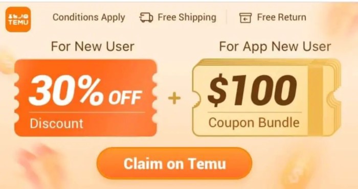 Temu coupon codes for existing users
