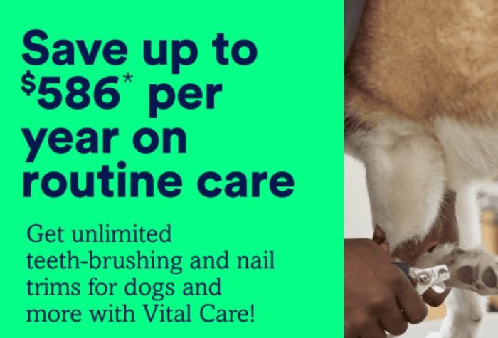 Petco rewards pals wethrift