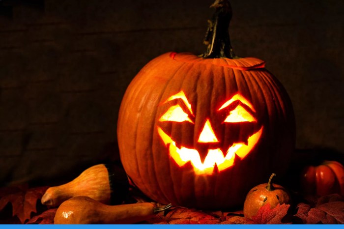 Lantern jack halloween great display jackolantern october Lewis the jack o lantern where to buy
